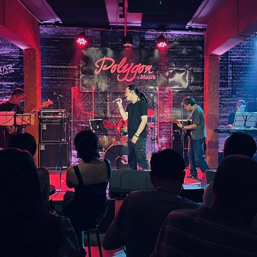 Polygon Musik Liveshows