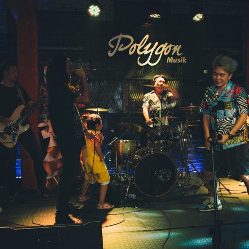 Polygon Musik Liveshows