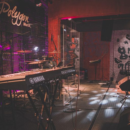 Polygon Musik Liveshows