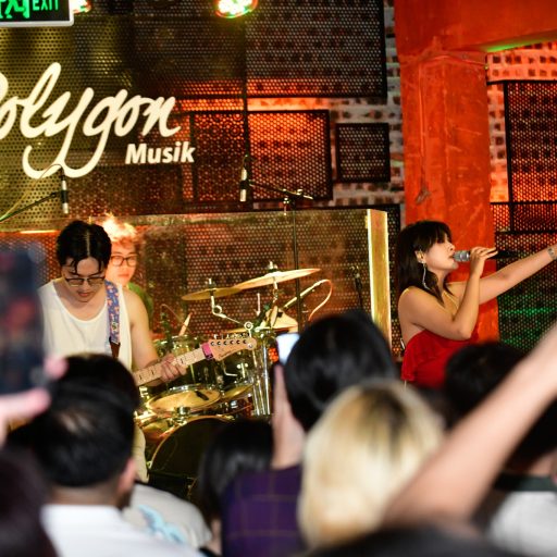 Polygon Musik Liveshows