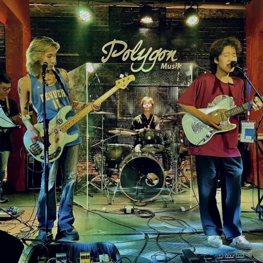 Polygon Musik Liveshows