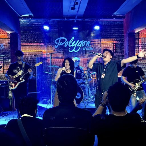 Polygon Musik Liveshows