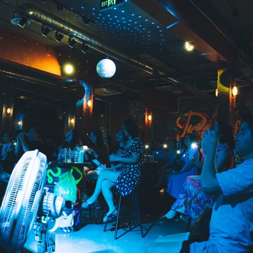 Polygon Musik Liveshows